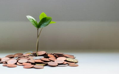 Financiële draagkracht berekend aan de hand van een “woonbudget”